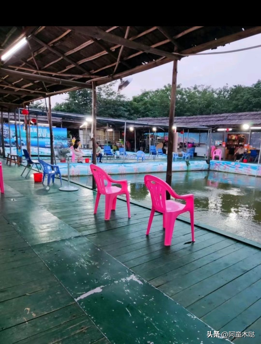 容桂农庄哪家好,容桂农庄便宜又好吃的地方推荐