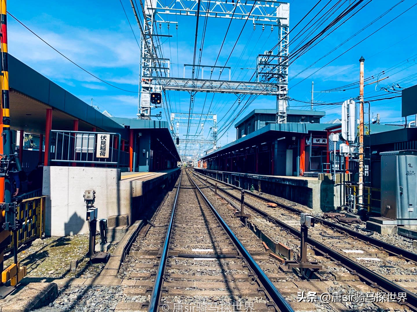 日本全面开放后，大量商家却高兴不起来，原因竟是因为中国游客？