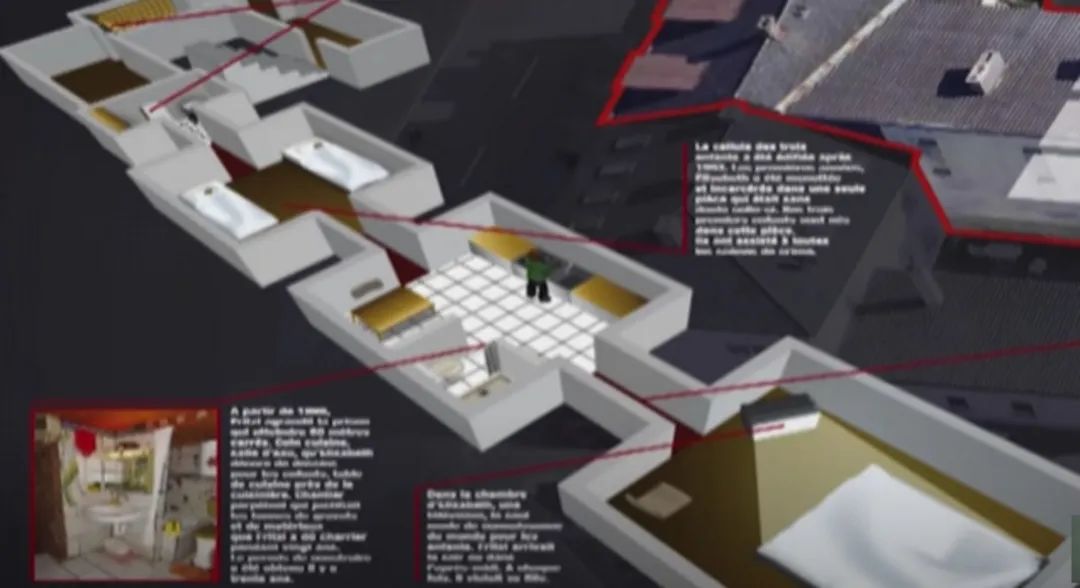 真实事件奥地利兽父囚女案,奥地利兽父囚禁案结果