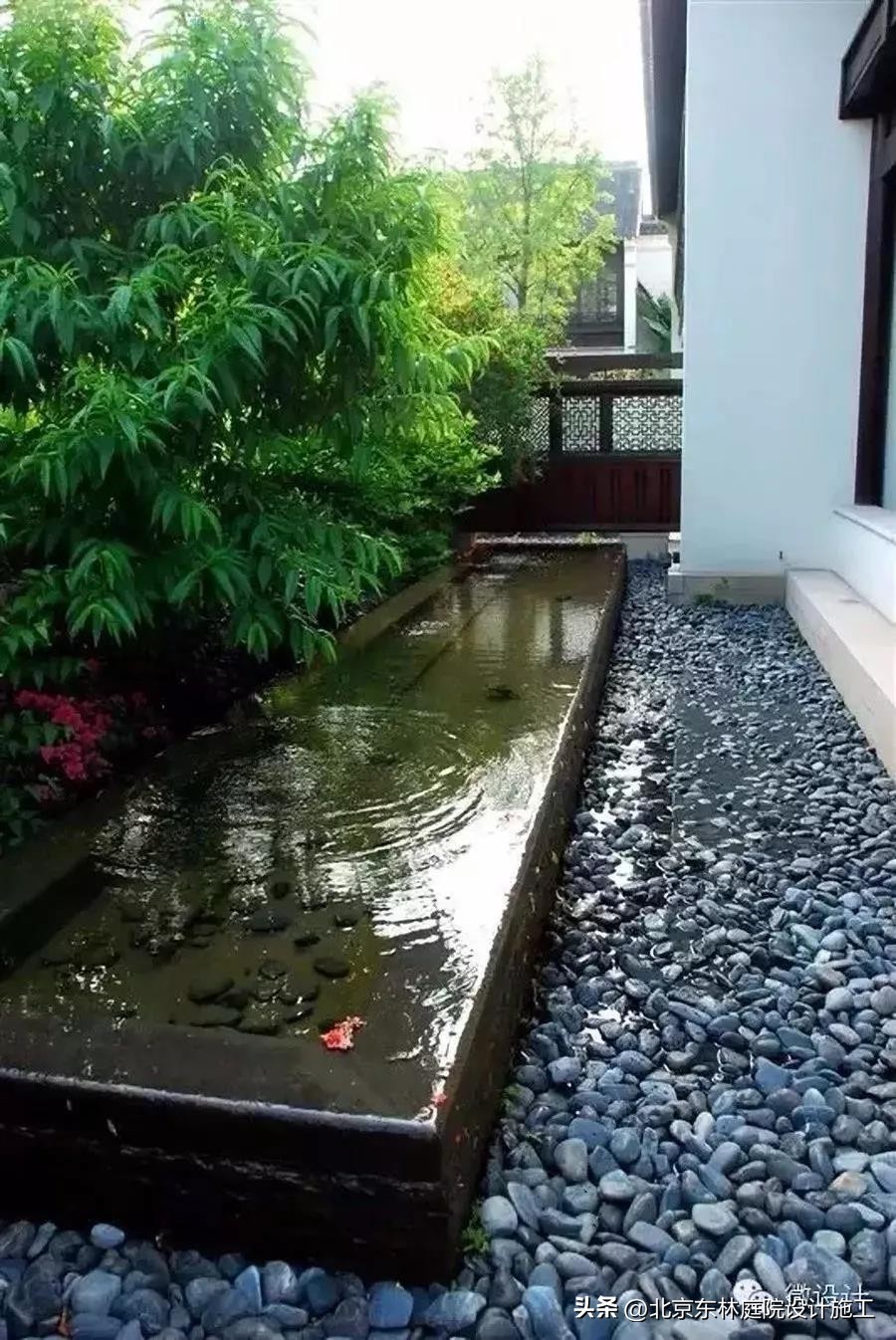 雨天怎么给植物光照,下雨天如何帮植物挡雨