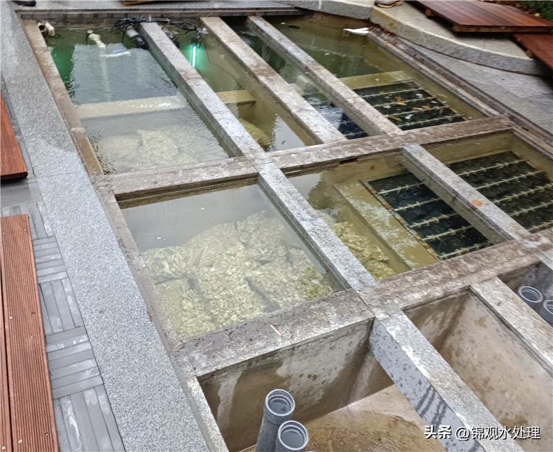 姜堰区锦鲤鱼池过滤仓施工,锦鲤鱼池过滤材料摆放顺序