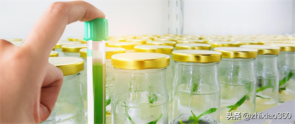 康宝莱h24运动营养粉,康宝莱24系列