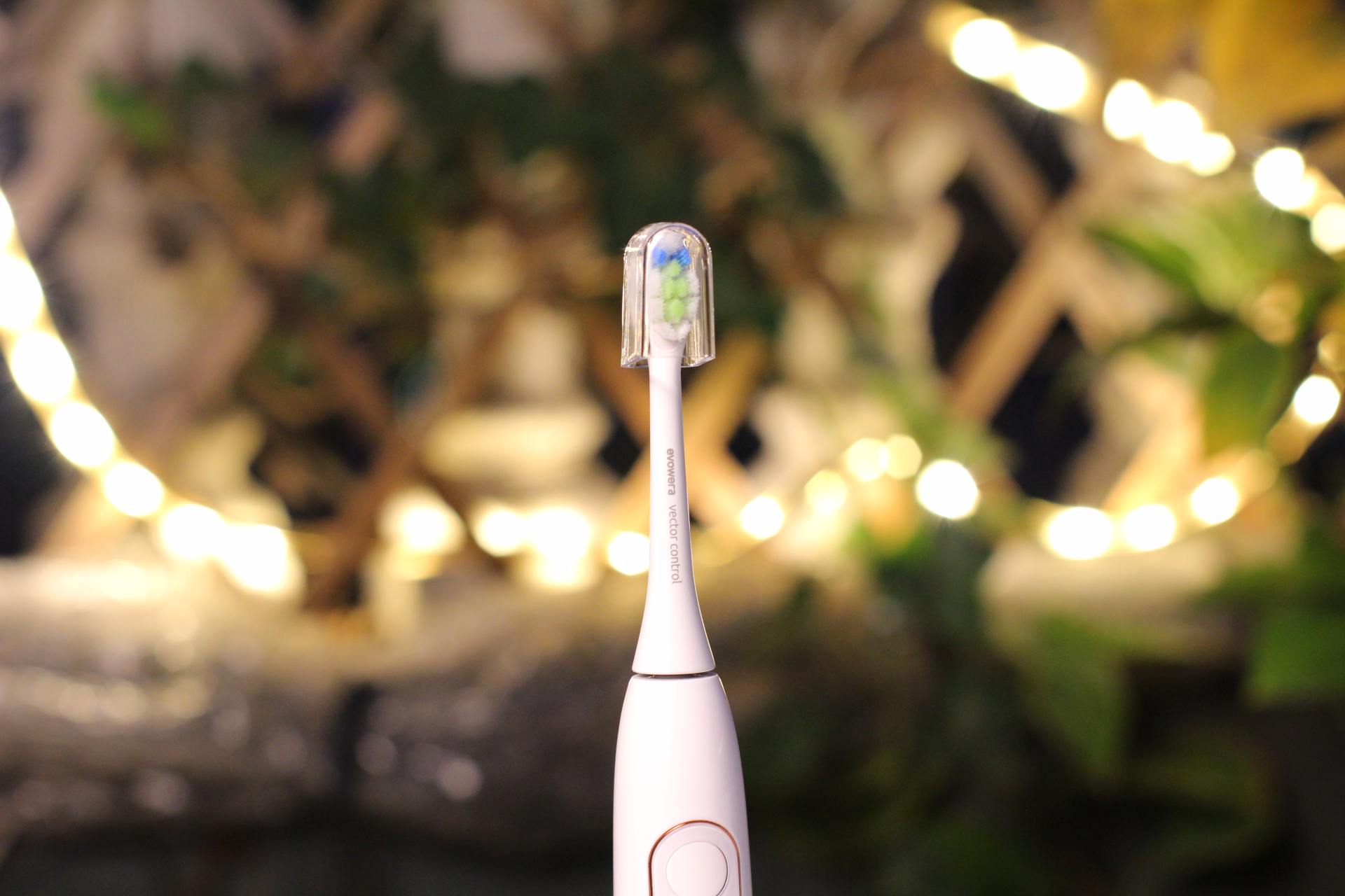 数码摄影入门器材推荐,穷玩摄影推荐预算100到300单反