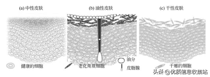 美容书单,美容知识书单