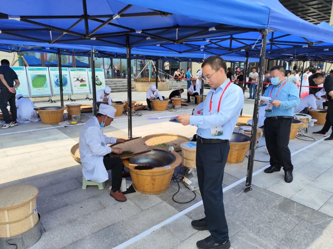 西乡县茶叶镇樱桃采摘,陕西汉中哪里可以摘樱桃