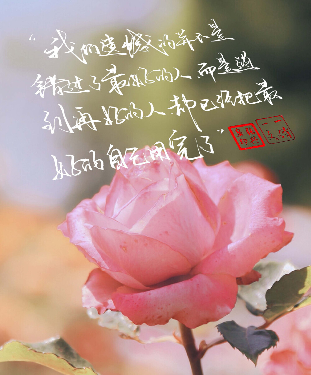 推荐一些有诗意的文案,惊艳你很久的小众文案