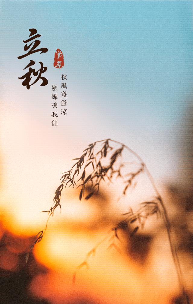 立秋了适合发朋友圈的文案加图片,立秋海报文案励志语句大全
