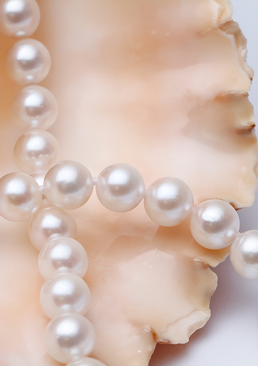 哪种珍珠最珍贵淡水珍珠海水珍珠,海水珍珠和akoya珍珠的区别