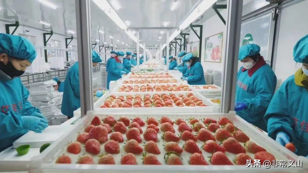 快点，文山一批“宝藏”项目等你加入！