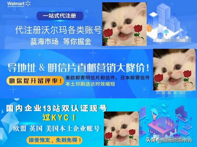 沃尔玛dsv店铺怎么样,沃尔玛dsv账号