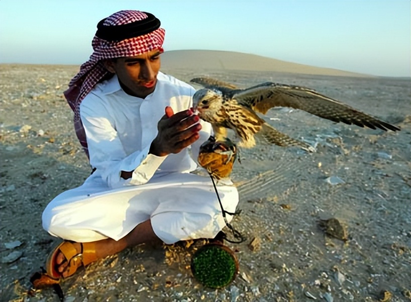 河南男子捡到只怪鸟，想要放生，专家看完后：价值600万