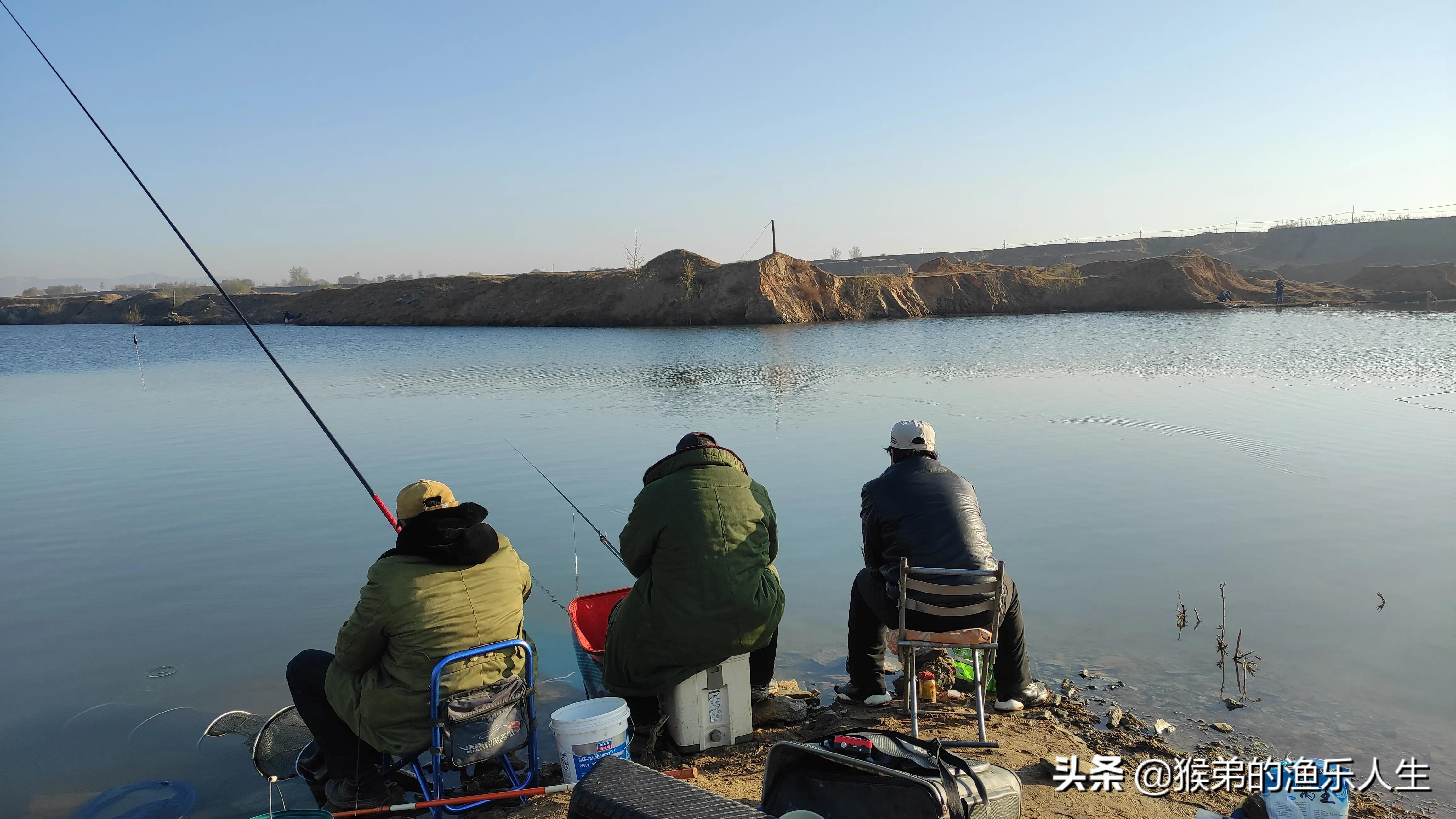 丸九饵料为什么不能揉打,丸九饵料为什么没有腥味
