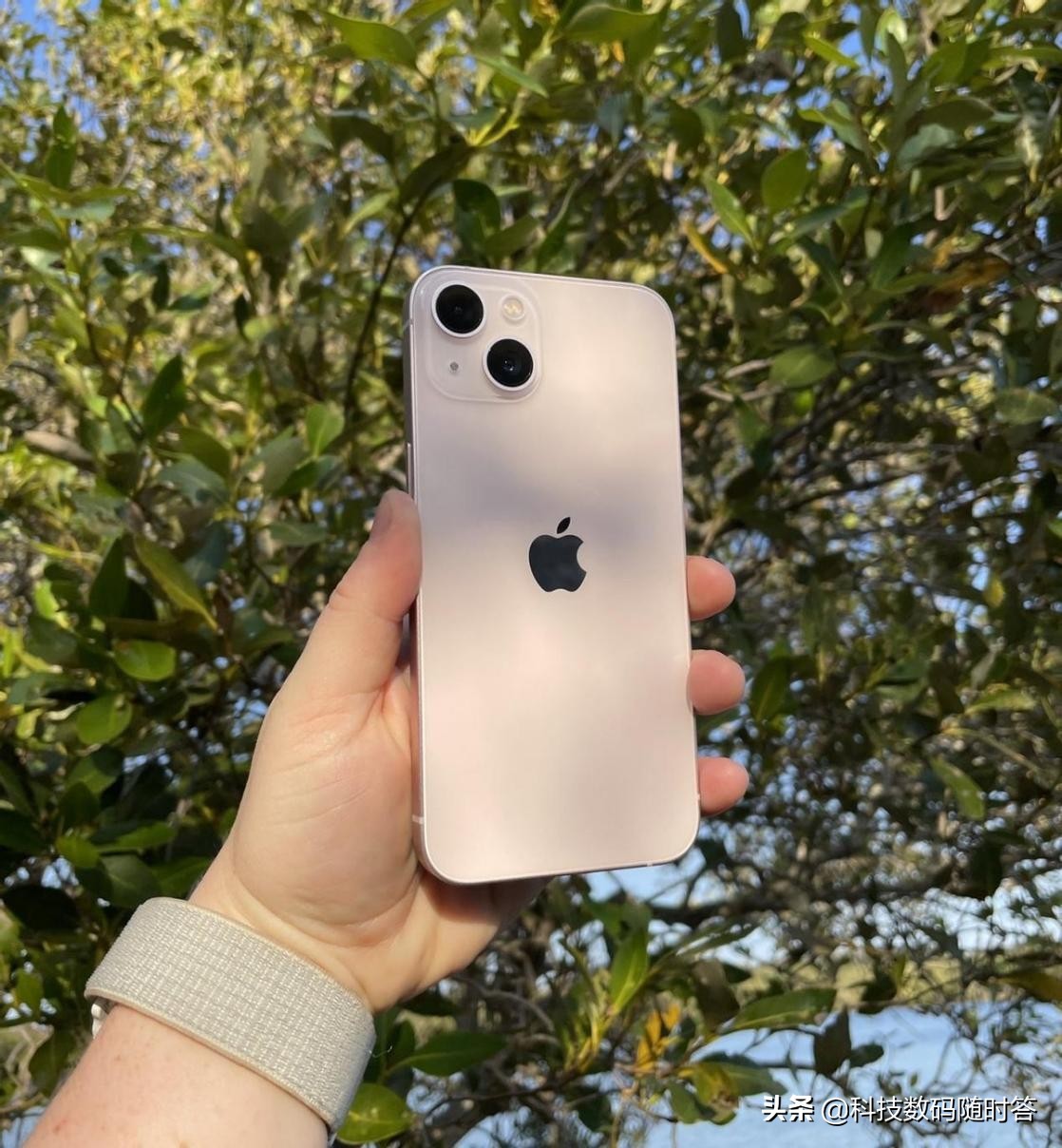 目前公认无差评的4款手机,测评2023所有手机