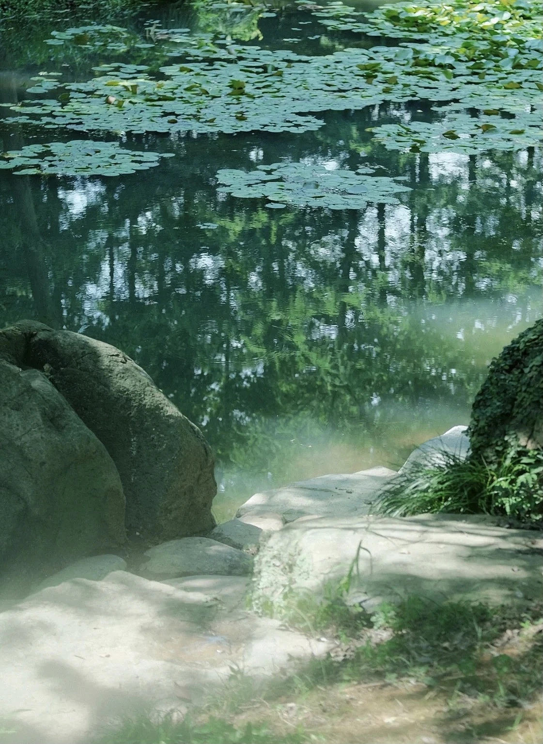 唐诗唯美千古绝句,最美的四季唐诗