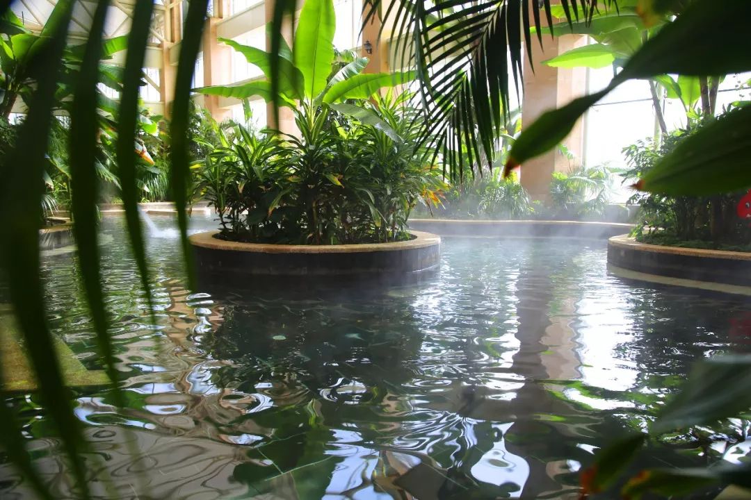 深秋等你到来,深秋等你来