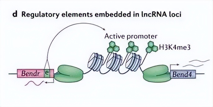 nature最新论文,nature论文最新发现