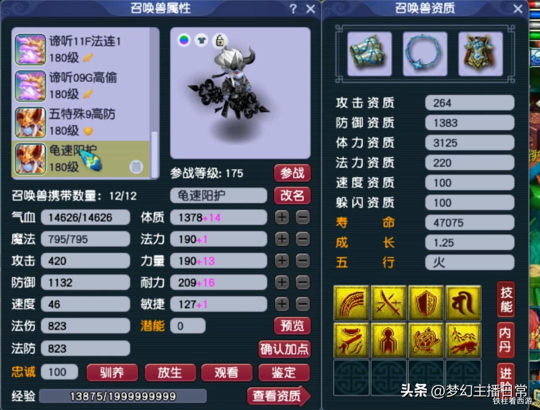 梦幻西游神木林龙宫,梦幻西游第一龙宫涛哥