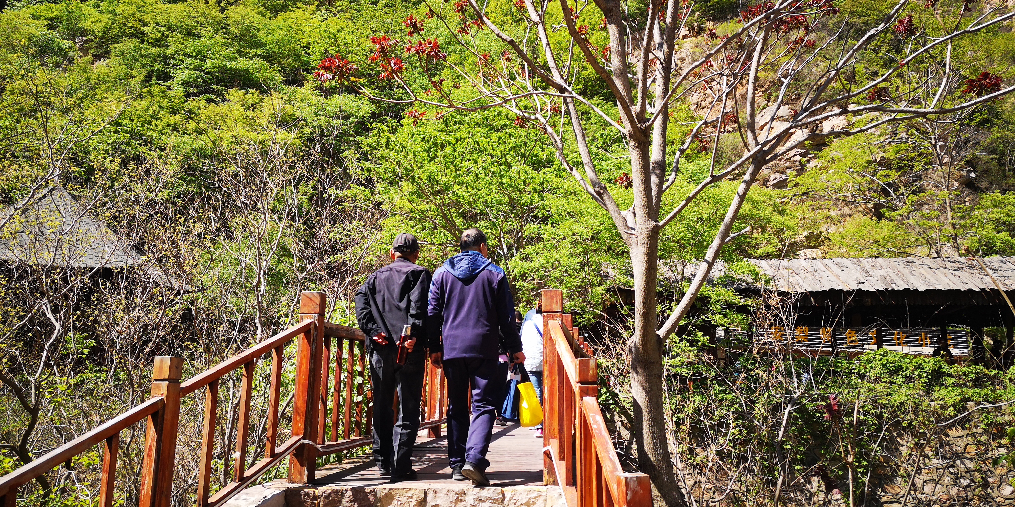天津梨木台景区值得夏天去的地方,天津蓟县梨木台风景区路线