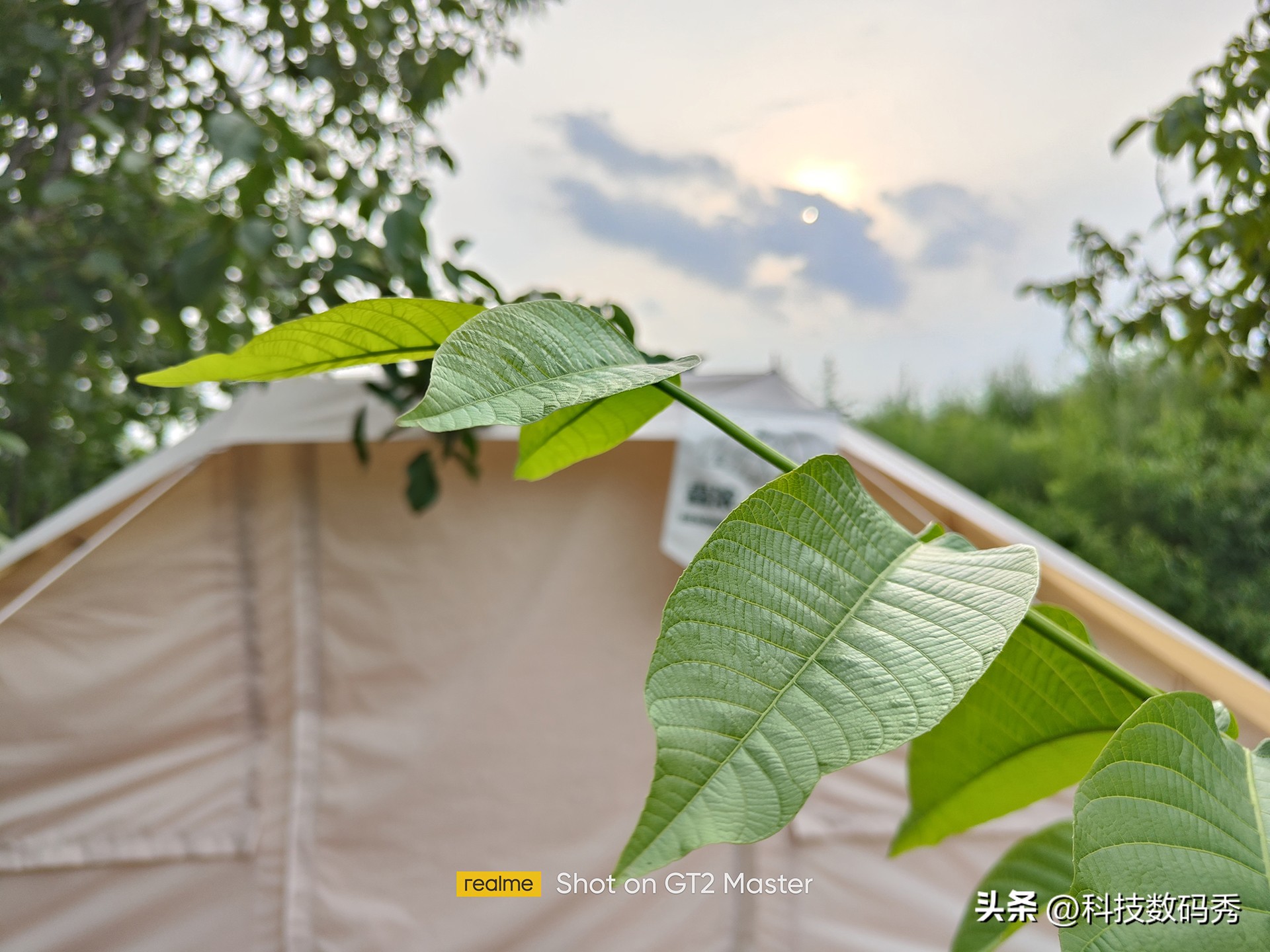 realmegt2大师探索版外观,realme真我gt2大师探索版游戏测评