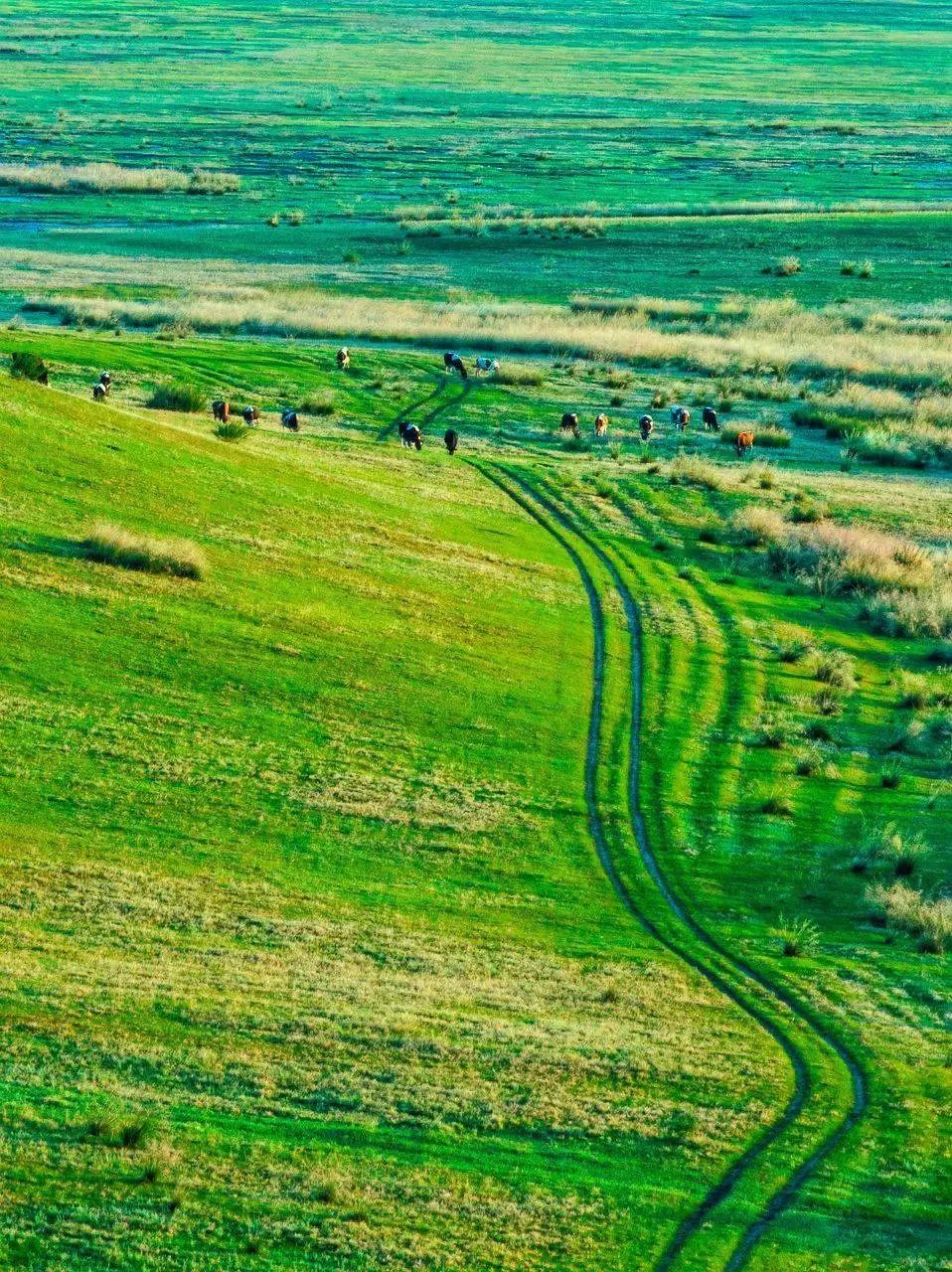 摄影师镜头下全球绝美地质风光,摄影人必踩的7个旅游地