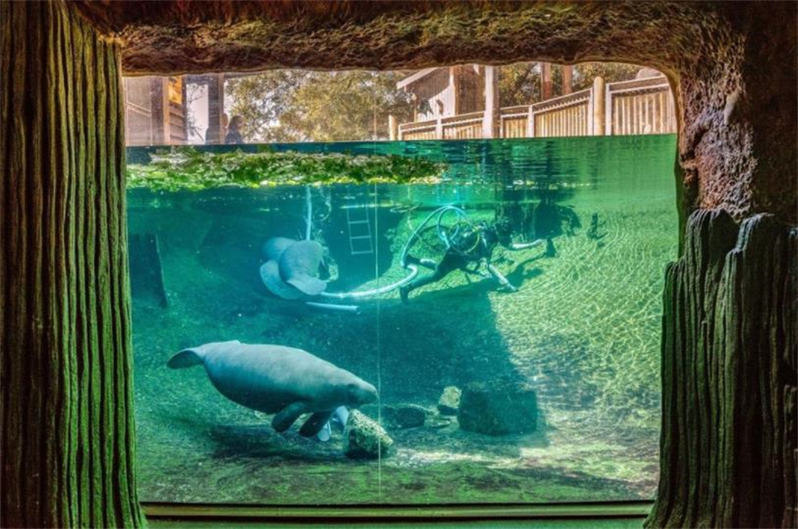 美国女人的收藏品,全美服装比赛上的佳丽,40张照片带你看全球