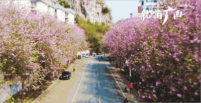 春天，我想到一座城，吃粉粉，看粉粉
