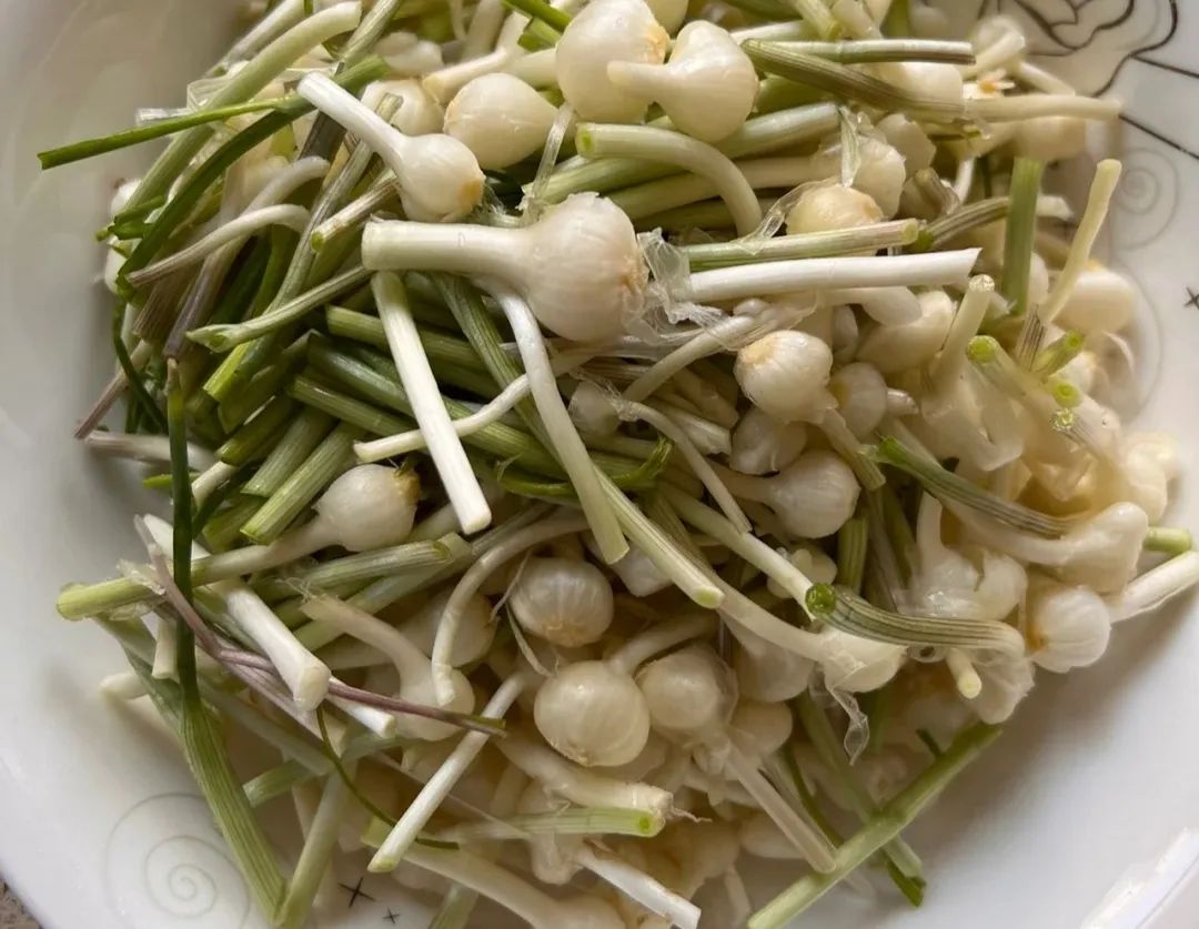 这菜常被当“杂草”拔掉，营养极高，清火开胃，遇到别错过了