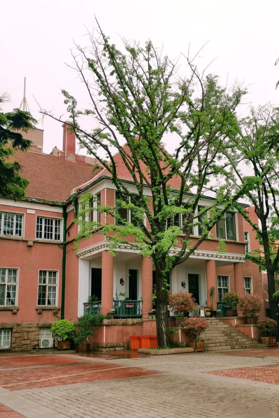 青岛最美摄影作品,青岛摄影师现状