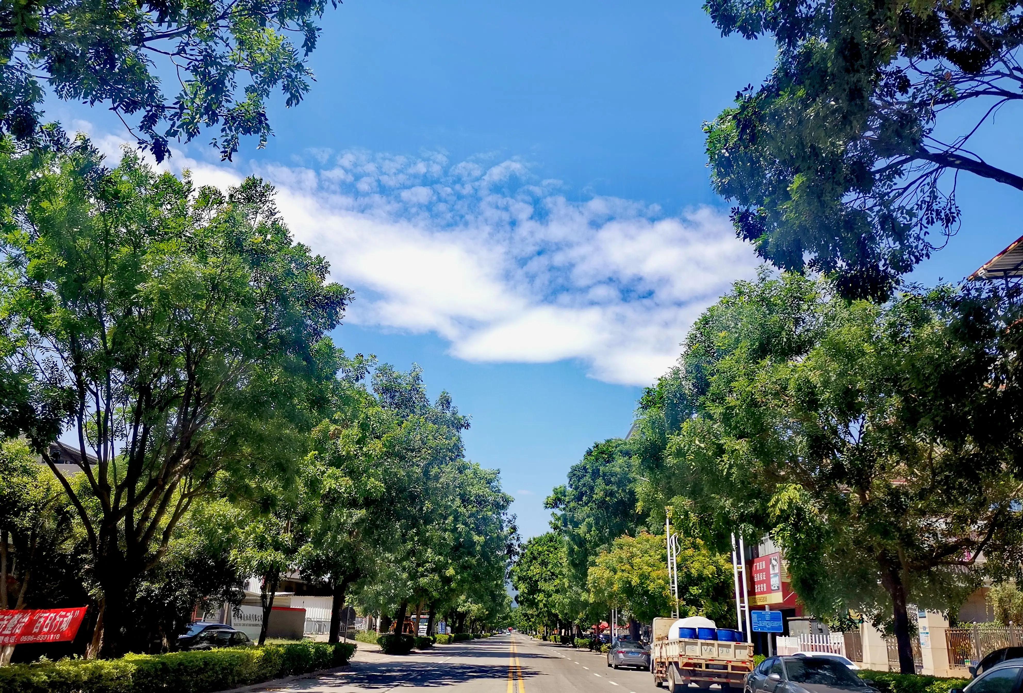 漳州市美丽的小镇,漳州长泰区旅游