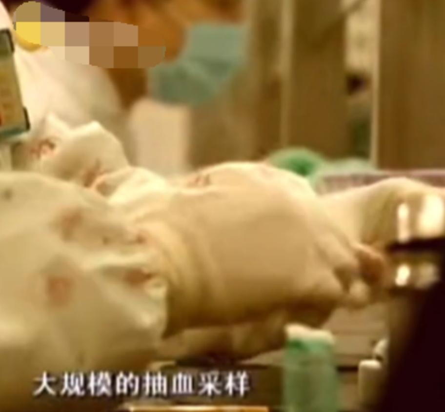 甘肃省艾滋病多少例,2007年甘肃省艾滋病