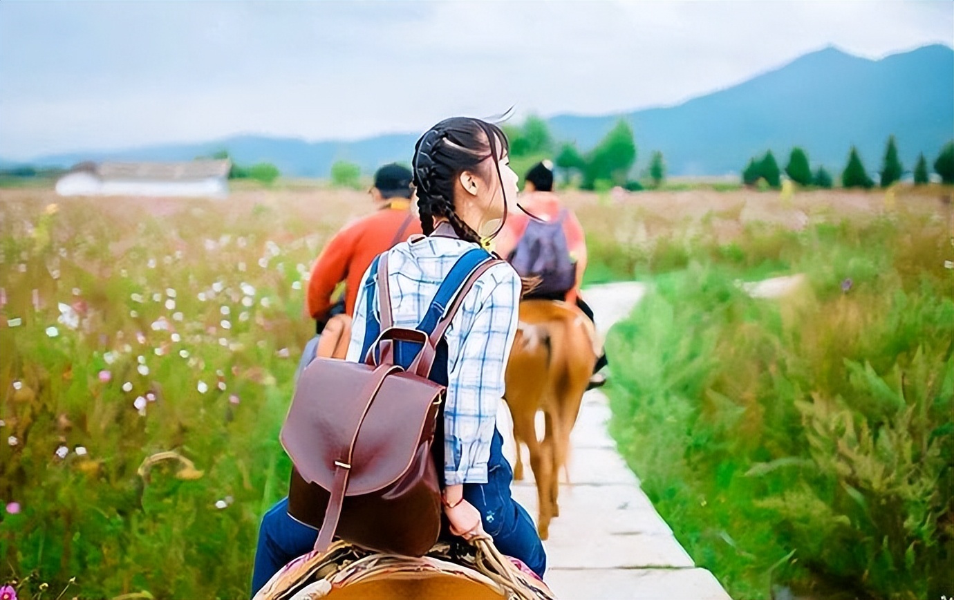 云南跟团游6天5晚多少钱,云南6天5晚旅游跟团详细费用