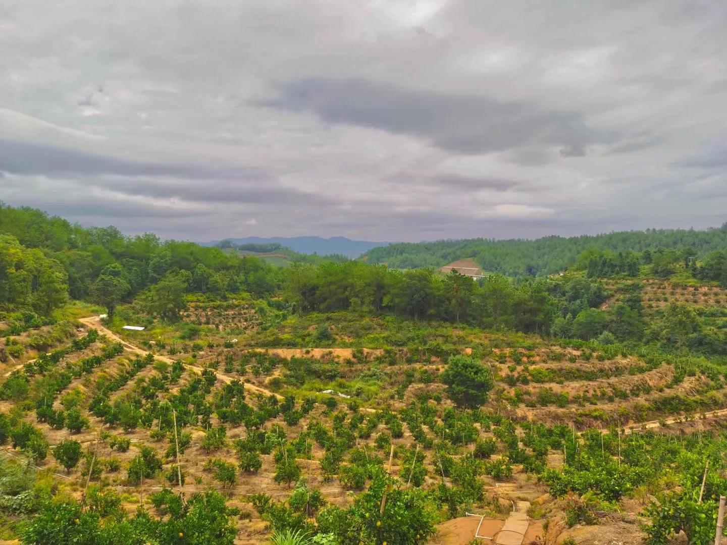 壹号农场金坛,壹号农场团购