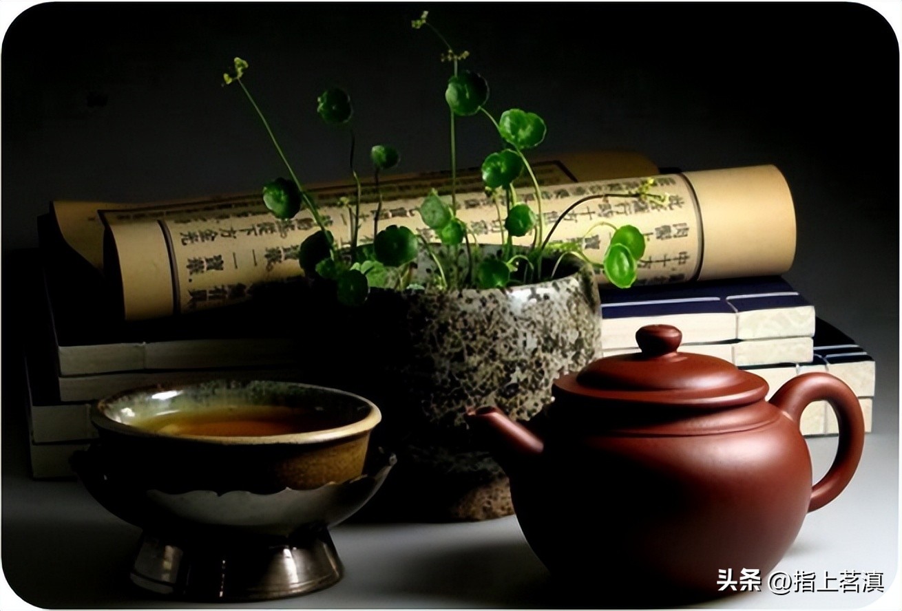 指上茗滇｜泡茶一定要用茶盘吗？