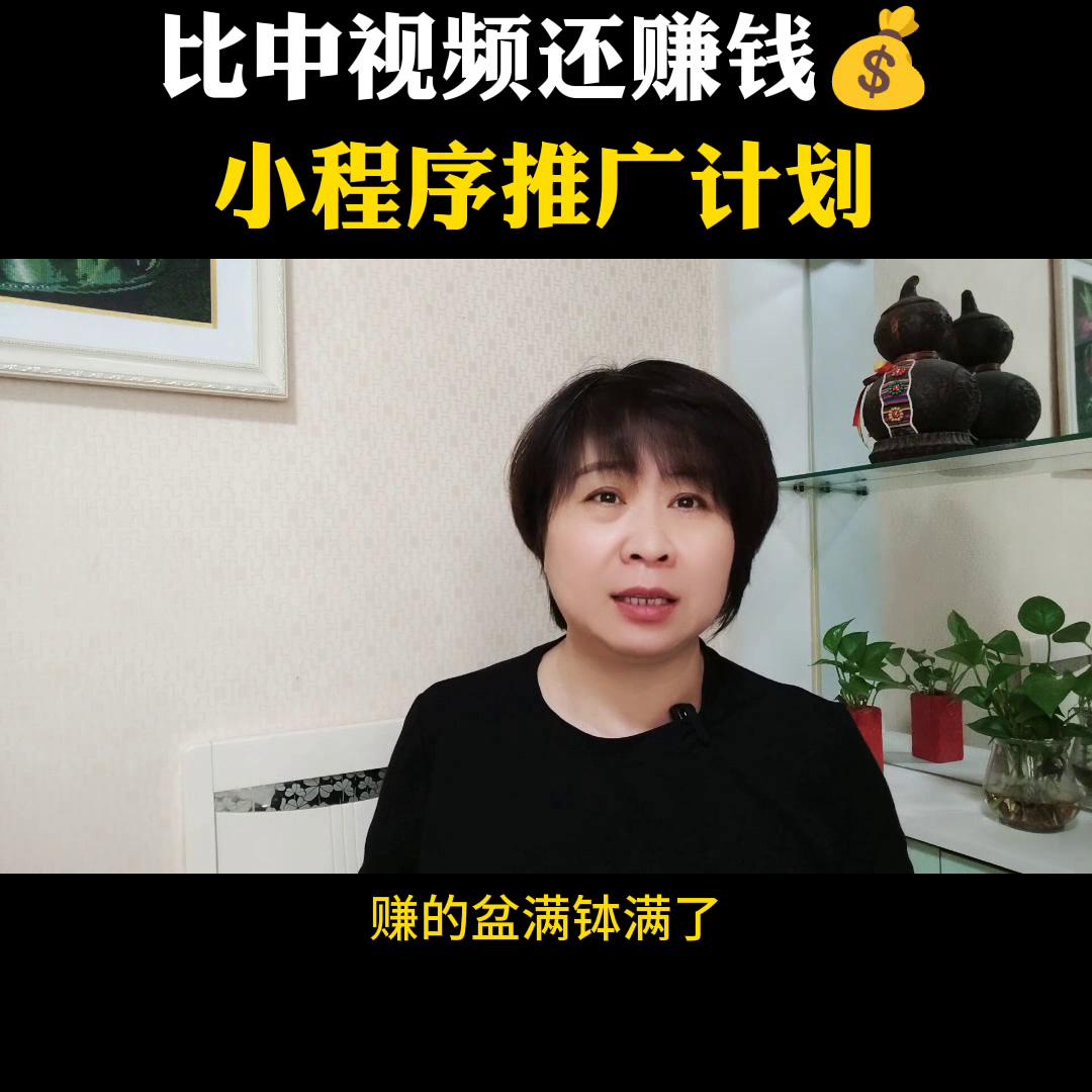 小程序推广中视频伙伴计划,推广任务小程序推广计划