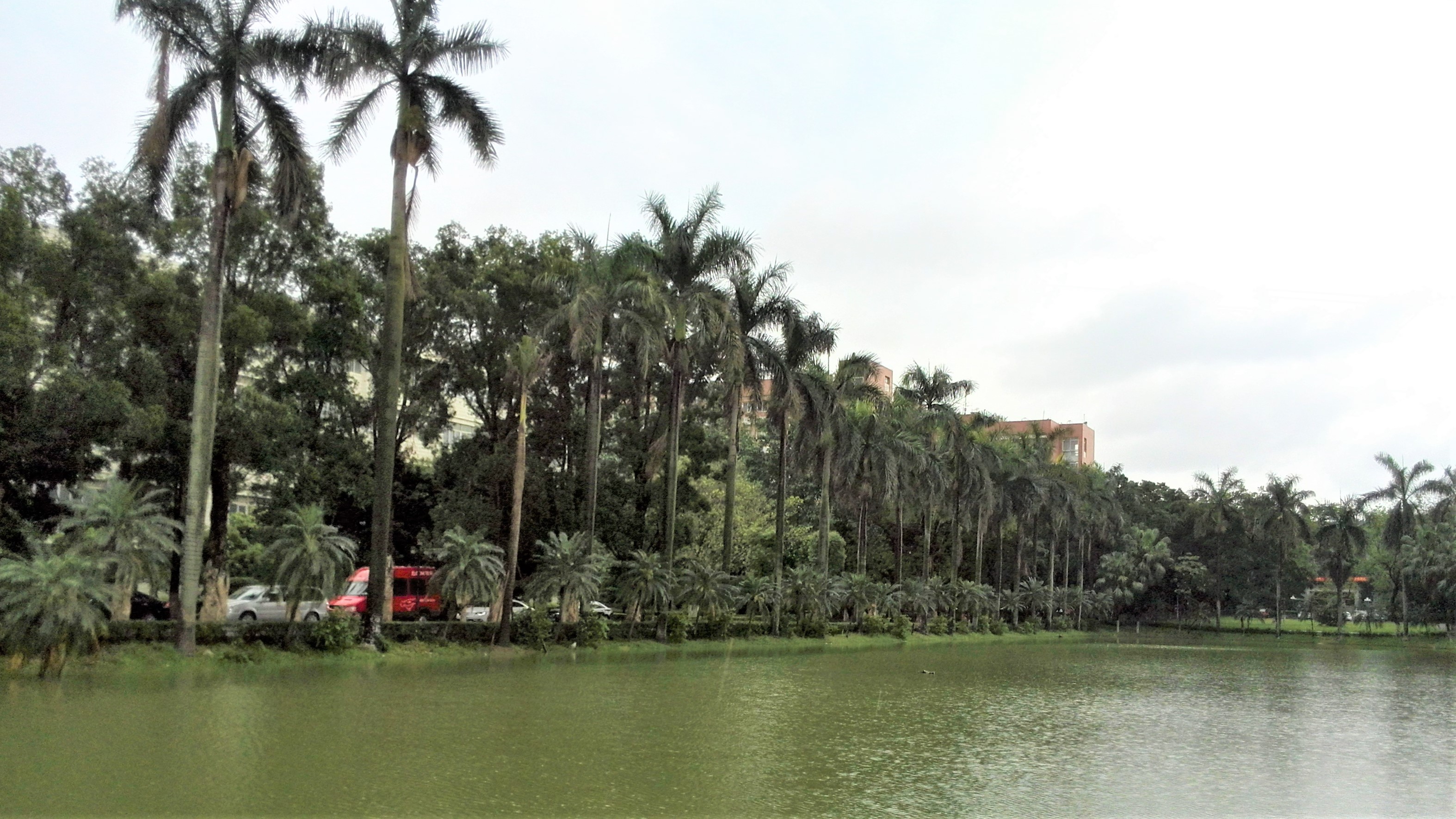 华南第一中山大学,中山大学广东人眼中的清华