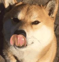 新能源汽车2024年营销状况,新能源汽车营销策略视频