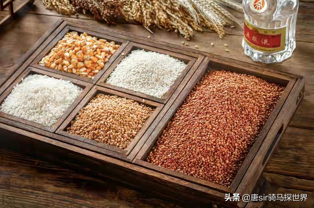 閰掑煄瀹滃,閰掑煄娉稿窞閰掗兘瀹滃