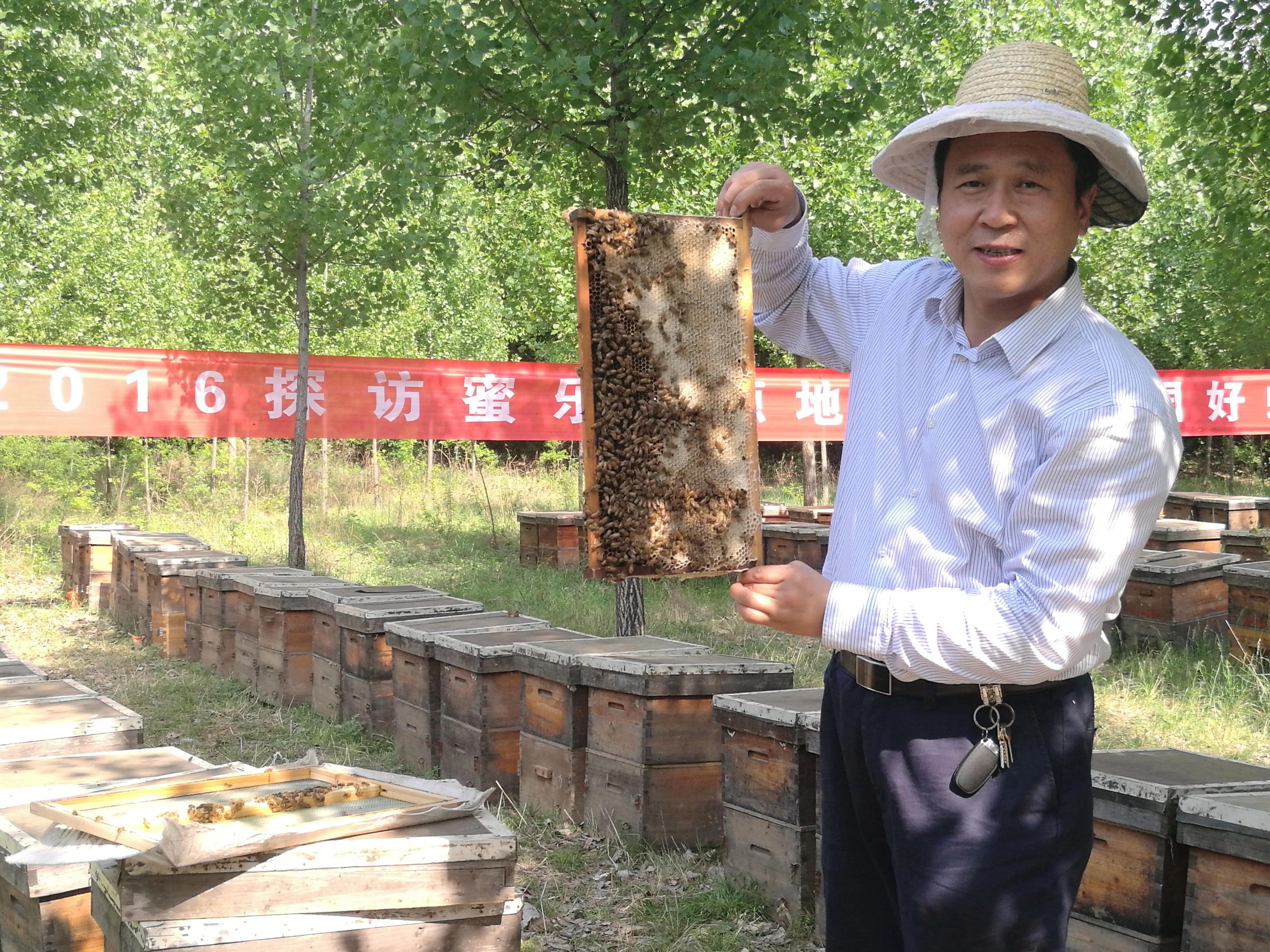 蜂蜜世界大奖,获得过蜂博会金奖的蜂蜜