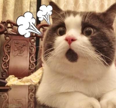 国产普拉多停产前卖多少钱,国产普拉多二手车值得买吗