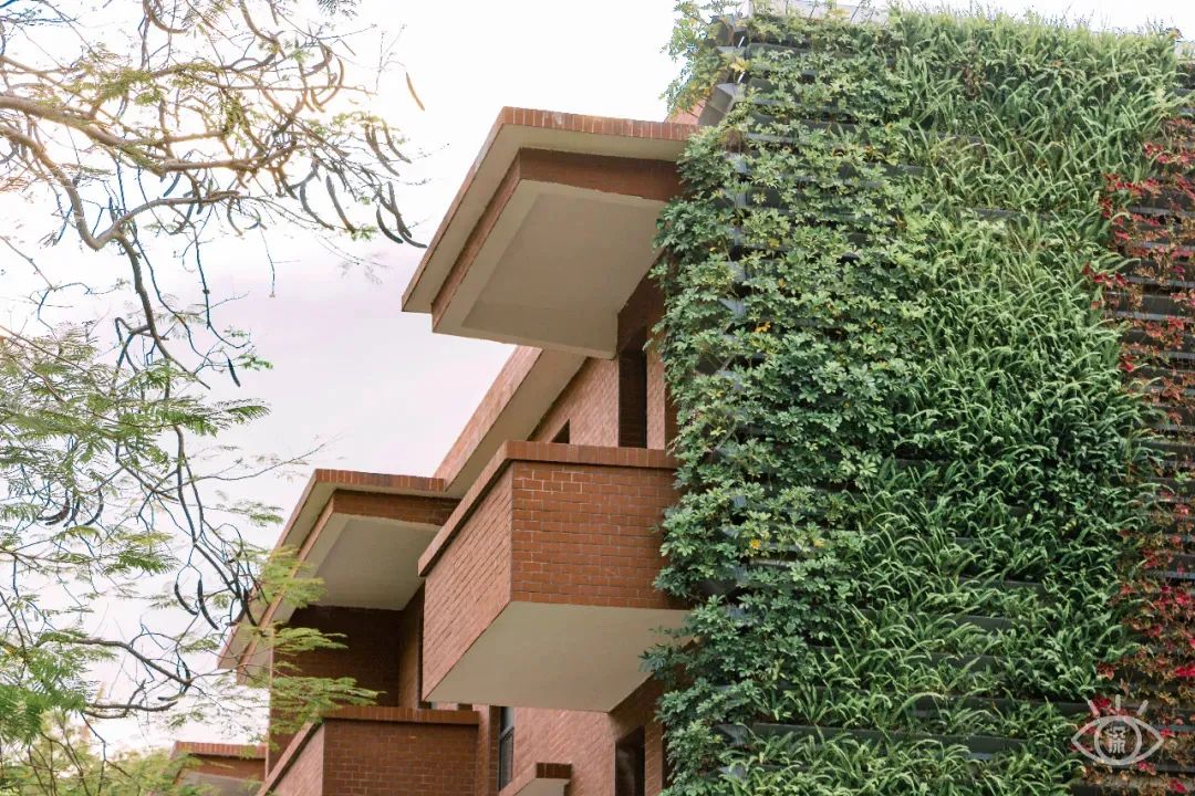 不用出国在深圳看到的美景,深圳有什么景点去看的不要钱的