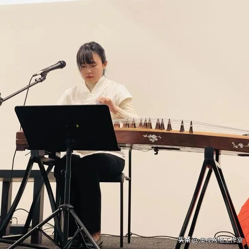 阿德莱德交响音乐会,阿德莱德音乐会