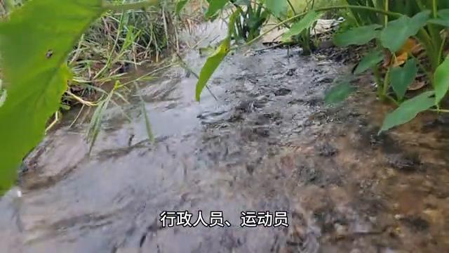 埃及金字塔是用浮力建造的,埃及金字塔是混凝土做的吗