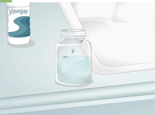 怎么消除厨房的小蚊子,怎么去除厨房异味和蚊虫