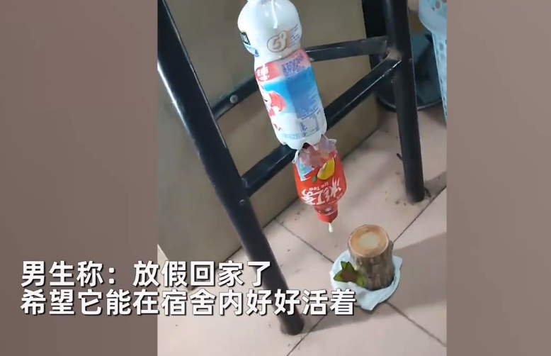 大学放假前自制装备给盆栽浇水,大学生放假前自制装备