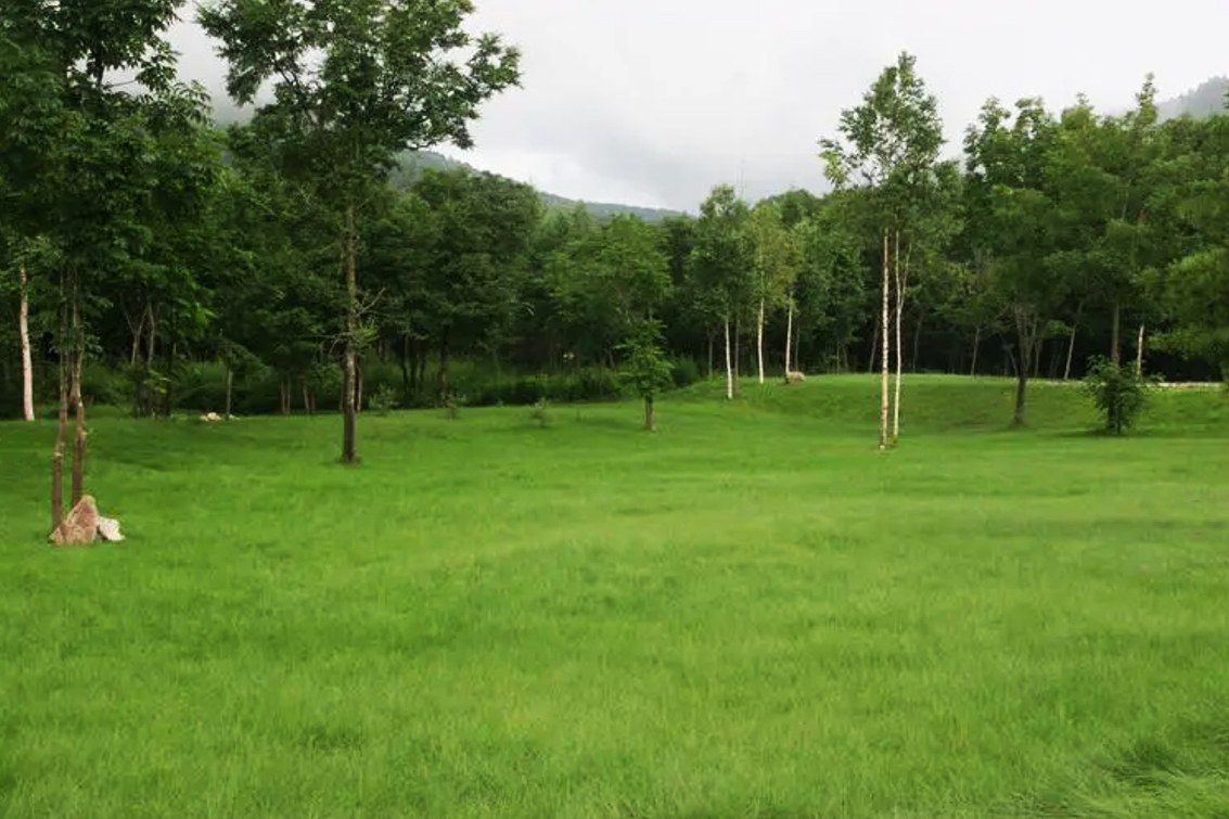 邓蓉：论我国草业的发展[论文]