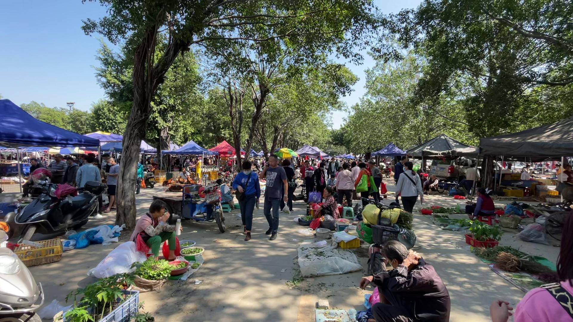 你有多久没“趁墟”了？看看广州以及周边有哪些热闹的传统墟市