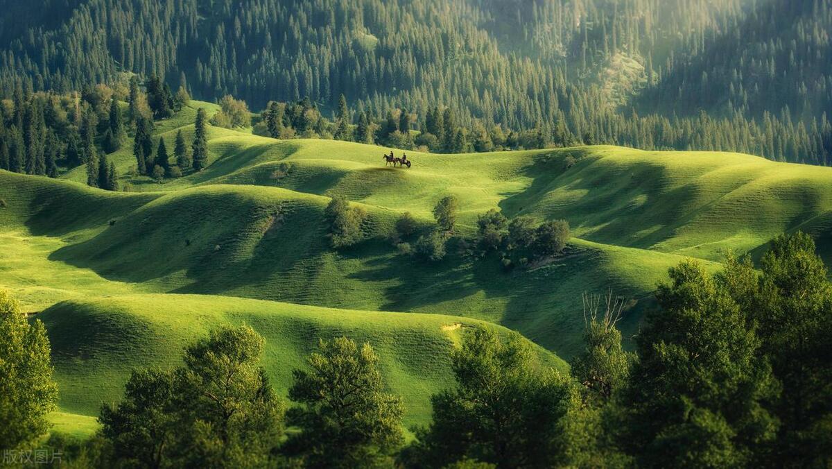 林业信息技术应用就业前景,林业研究生就业前景