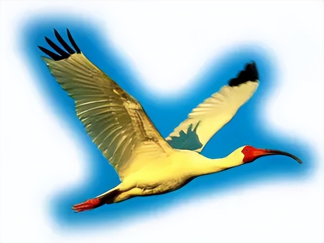 第一章忆起我们古老的过去（3）〔生命之花的灵性法则1〕