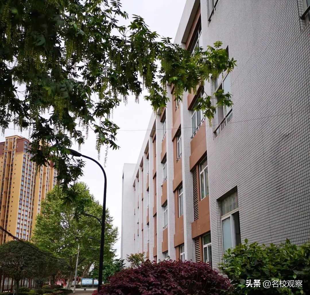 榜上有名！双流中学荣获“引领型”一级示范性普通高中称号