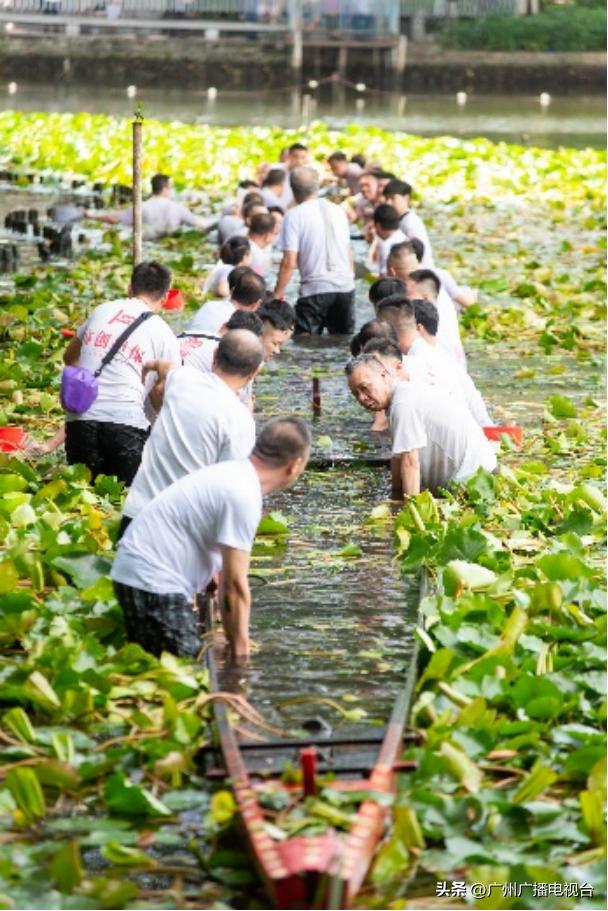 广州端午节赛龙舟最精彩在哪里,今年广州端午节龙舟赛在什么地点